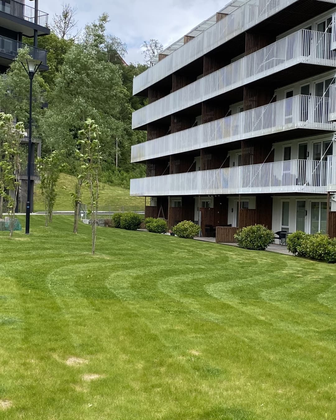 Vedlikehold av hage og plen i Bergen gjennom sesongen